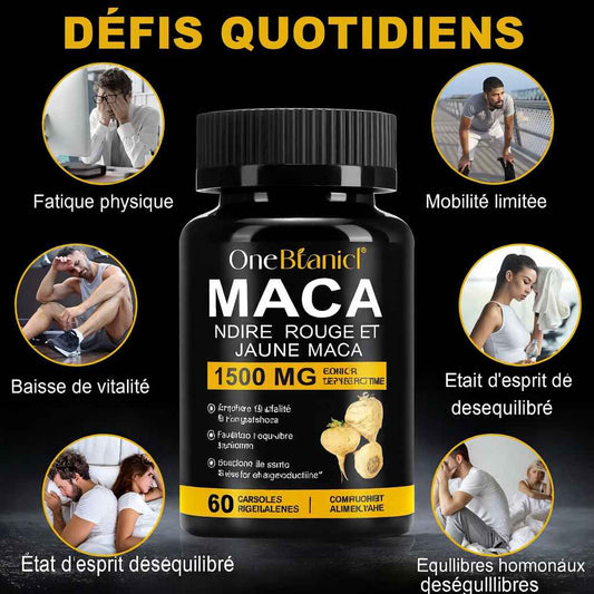 Maca Noire Bio Ultra-Concentrée – Boost Naturel de Testostérone, Libido & Énergie